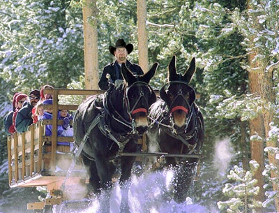 Two Below Zero Sleigh Rides