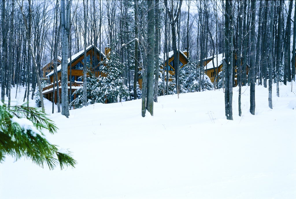 Mountain Cabins at Boyne SKI