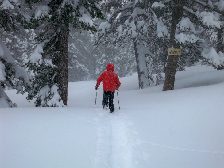 Breaking Trail Mammoth local David Page kindly breaks trail to his stash for some freshies.