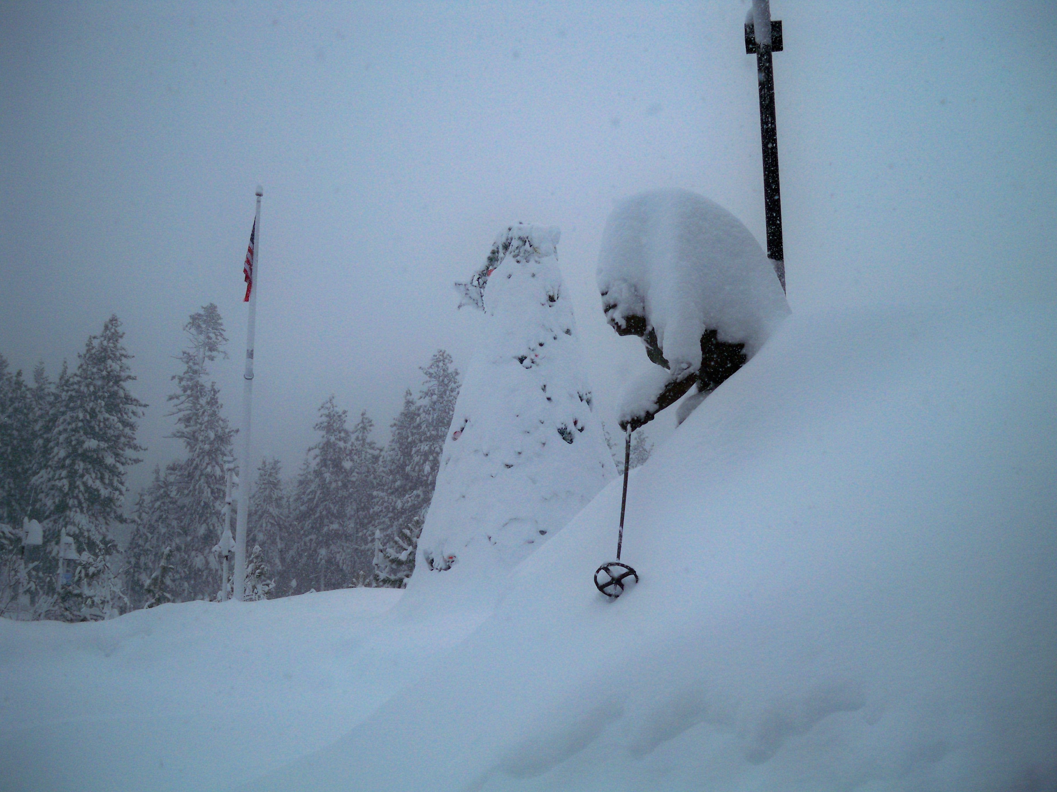 Dave McCoy Monday By today, it was up to the nips.