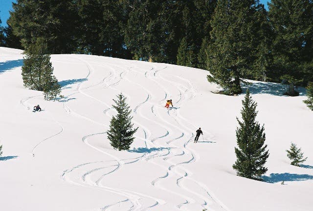 Ski: Soldier Mountain Bruce Willis owns this tiny gem of a ski area 102 miles east of Boise in Fairfield, Idaho. Closed Monday through Wednesday, storms load the slopes…