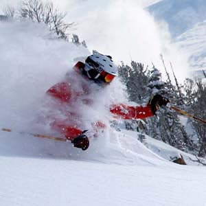 Powder Porn
