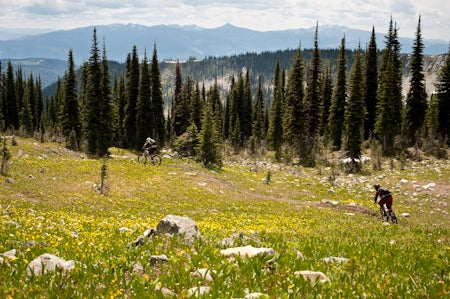 Interior B.C. Powder Highway In the summer, the powder highway becomes the mountain bike highway. Start in Cranbrook, the town with the only legitimate local airport. Then head…