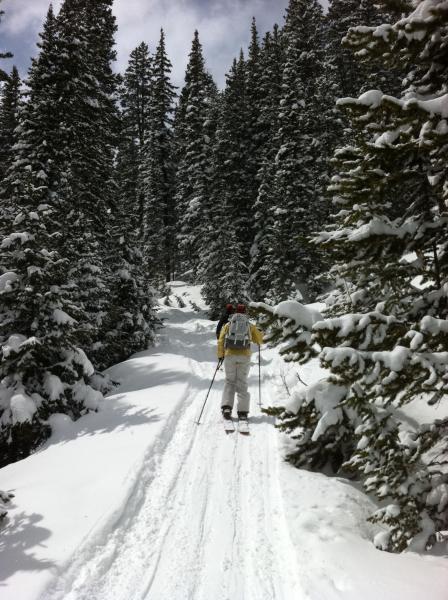 How Many Calories Do Backcountry Skiing and Snowshoeing Burn? –  Backpacker's Pantry