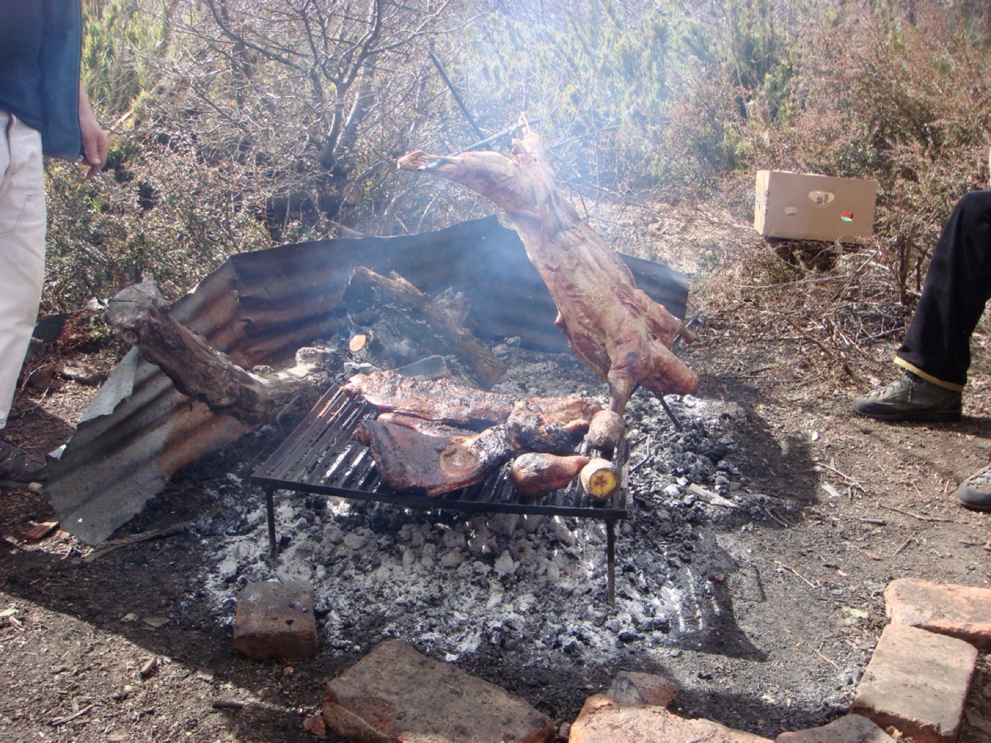 "Indulge your inner carnivore in Argentina. Order bife de lomo, and if you get invited to a local asado (BBQ), go immediately. Almost every restaurant…"