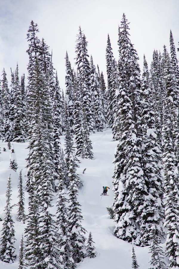 Photo: Spencer Francey/Quiksilver None