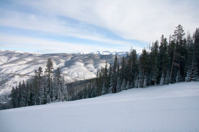 Image placeholder title None