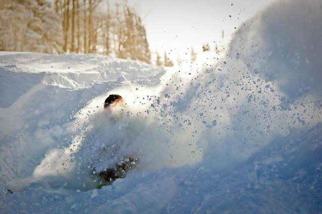 Image placeholder title None