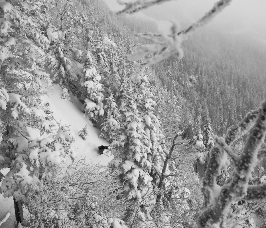 Best Tree Skiing Stowe, Vermont Jay Peak? Awesome, but it’s got a run-out problem. Mad River? Even better, but good luck logging more than six or seven Single Chairs…