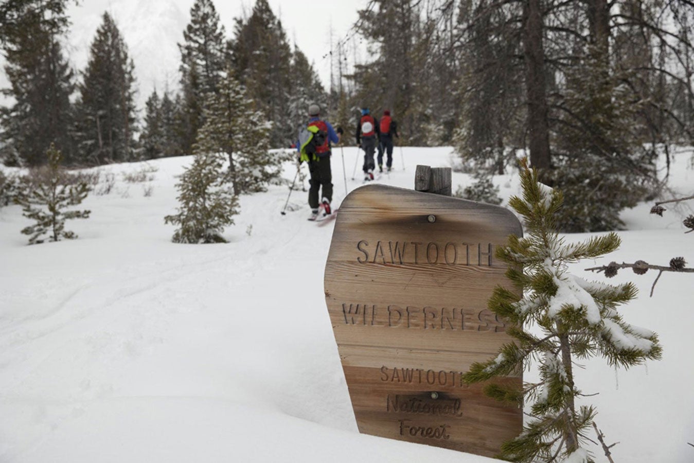 その他 ski And Jakes - Approach With Cautio Skiing the Sawtooths