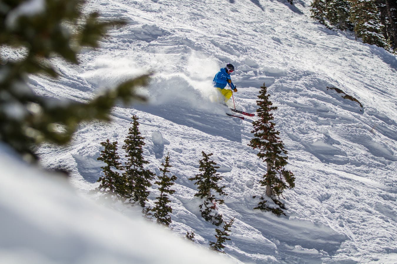 Inside the 2014 Ski Test
