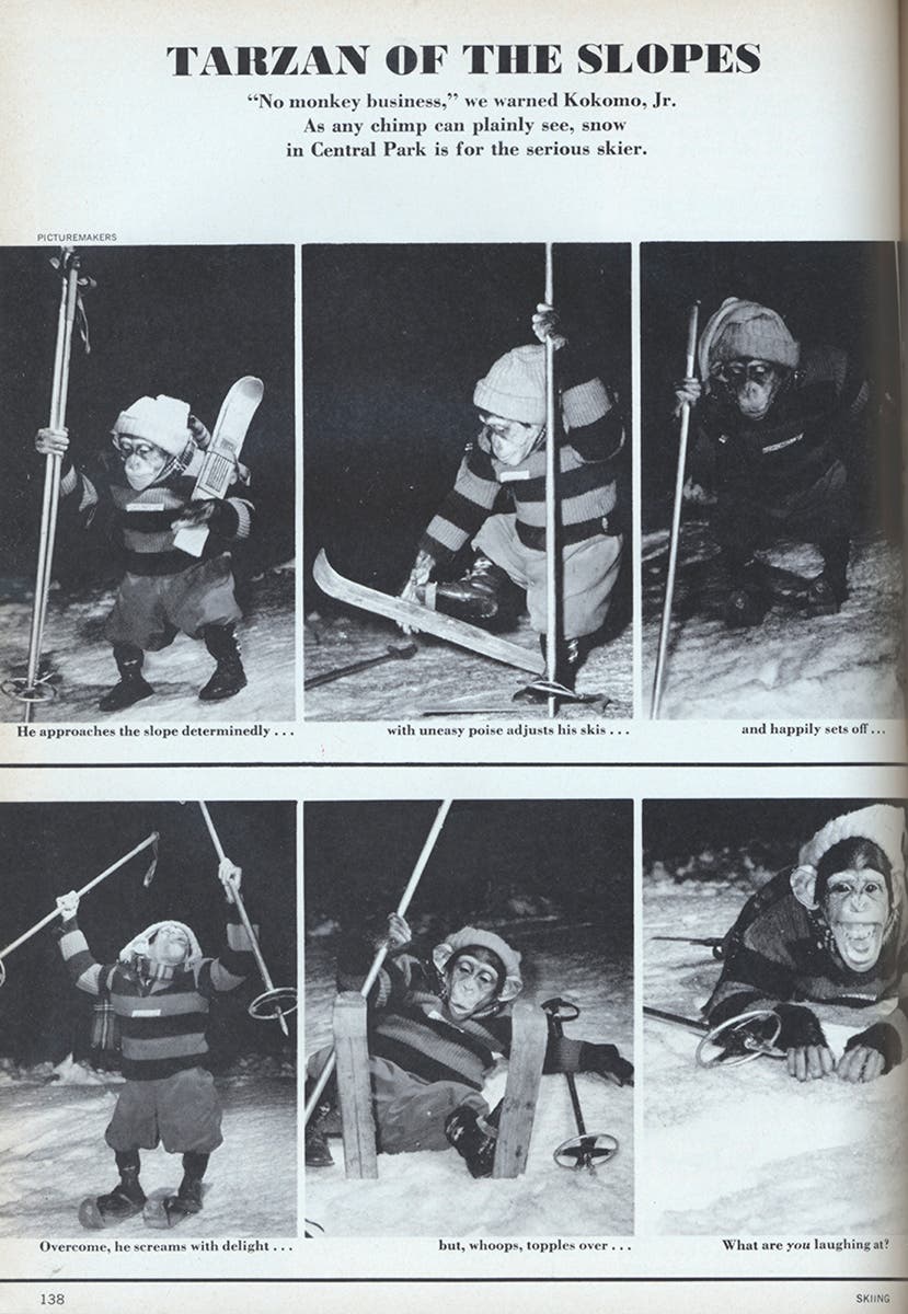 Monkey Slope So this happened. (September 1974)