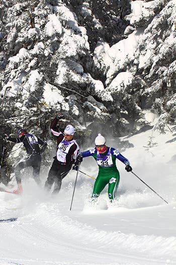 Image placeholder title None