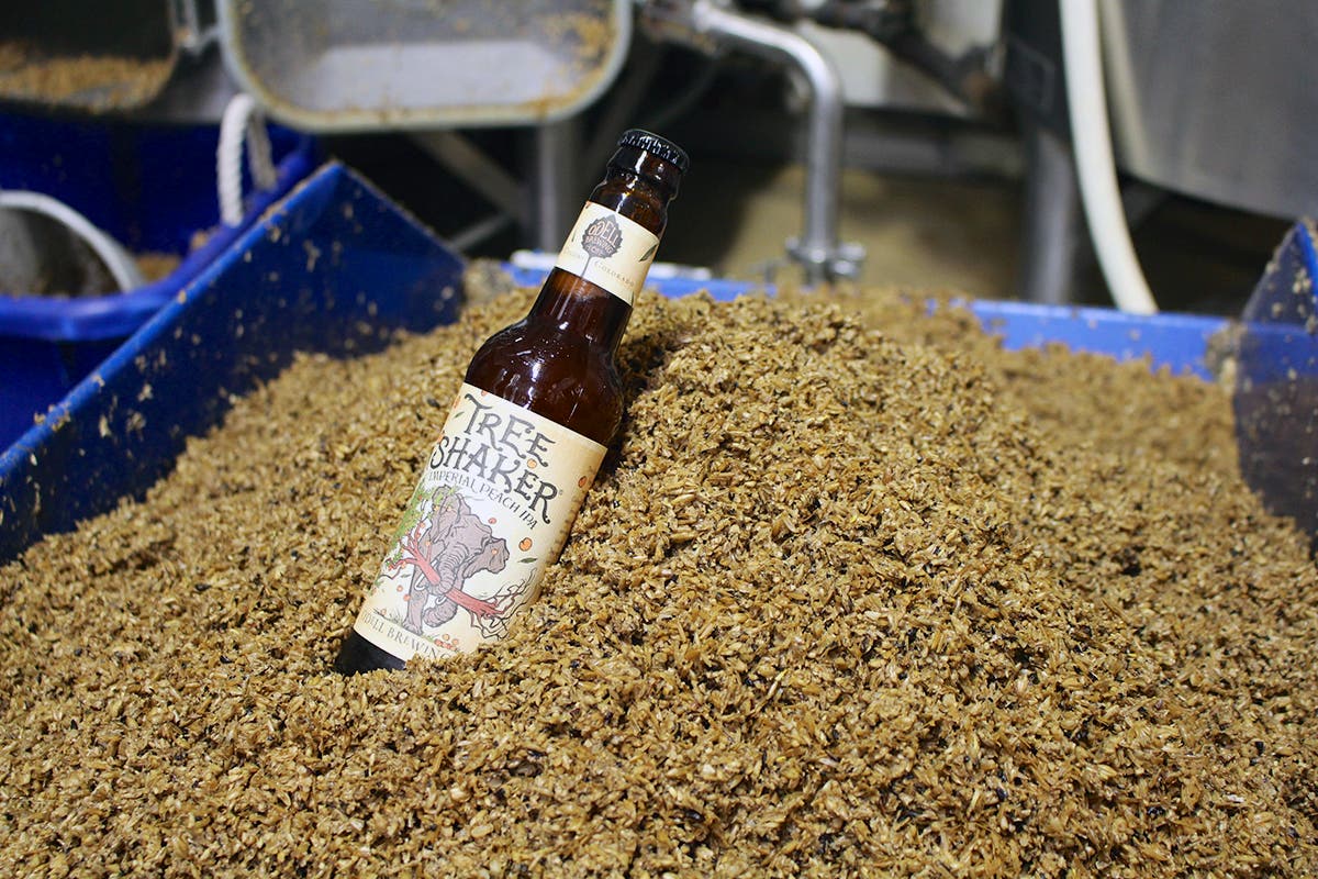 Raw to Polished It takes a full day of work-intensive brewing and a few weeks in holding to prepare a beer for bottling, and the effort is well worth it—at least it…