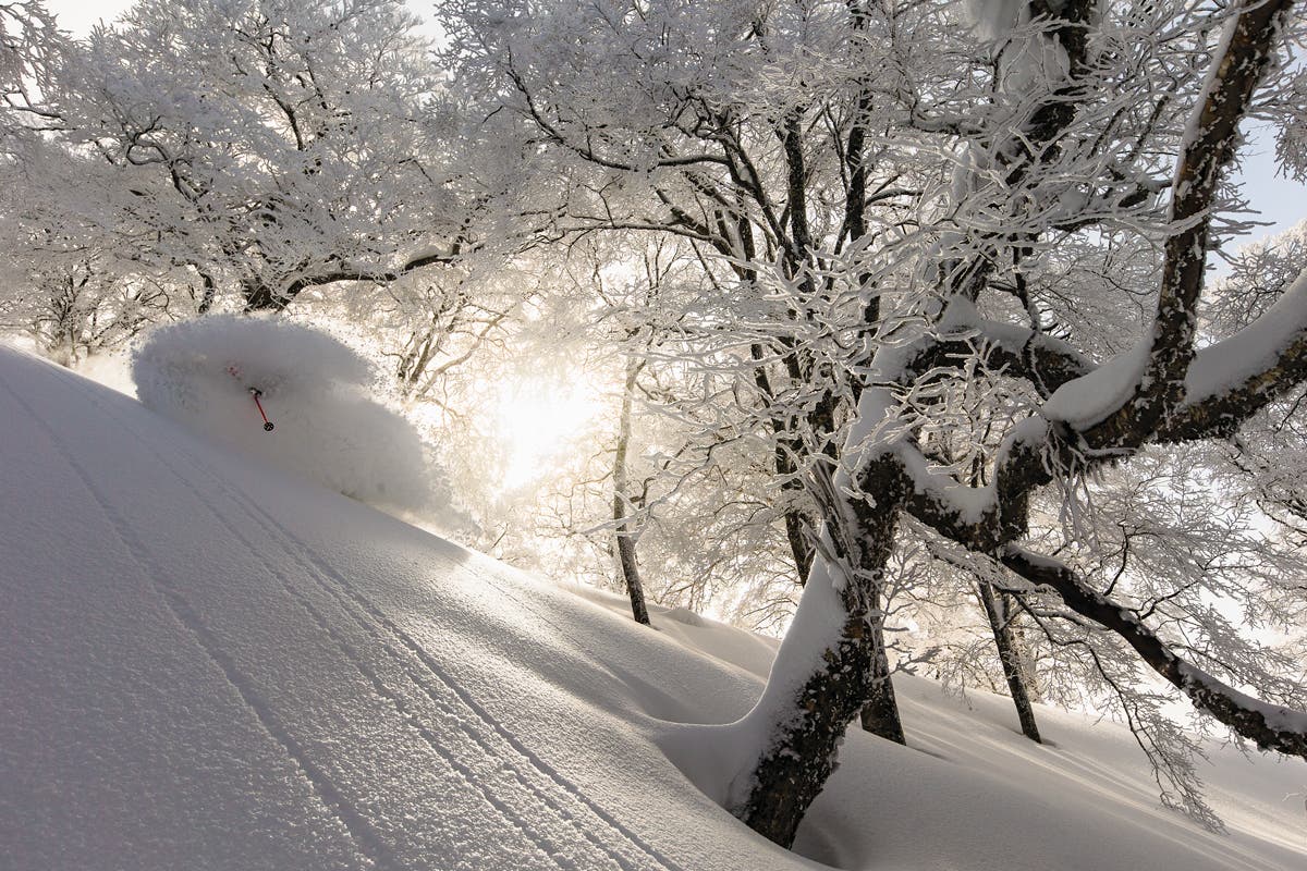 After retreating to low-angle pockets because of the avy danger of their original objective, Grant Gunderson captured longtime friend and ski partner…