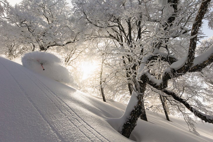 Nozawa Onsen, Japan After retreating to low-angle pockets because of the avy danger of their original objective, Grant Gunderson captured longtime friend and ski partner…