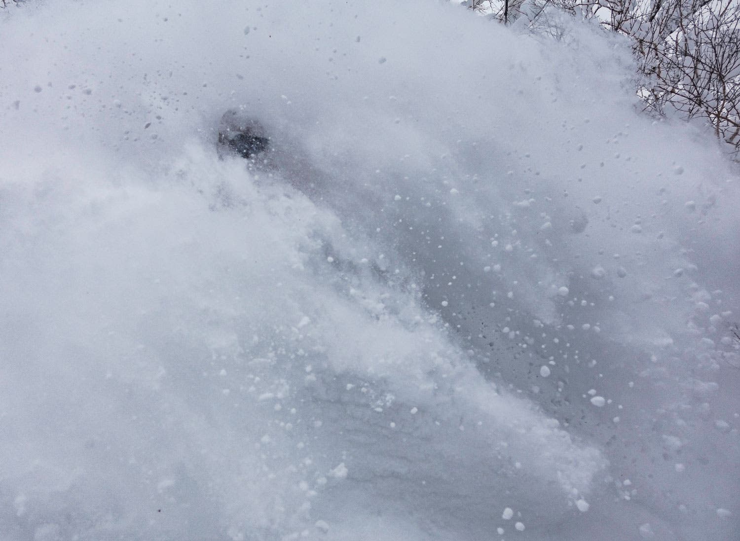 Cultural Submersion No caption necessary. Besides perhaps, “gaaaawwwwwwhhhhh.” Photo credit: Lucas Moore, SASS Global Travel