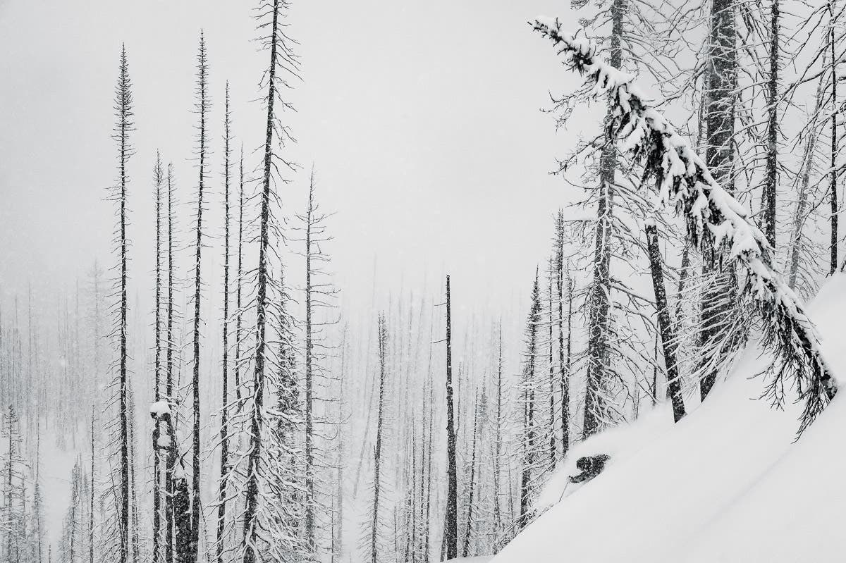 Photographer Reuben Krabbe got a last-minute phone call to join skier Dan Treadway on a trip with B.C.’s Monashee Powder Cats, and 36 hours later he…