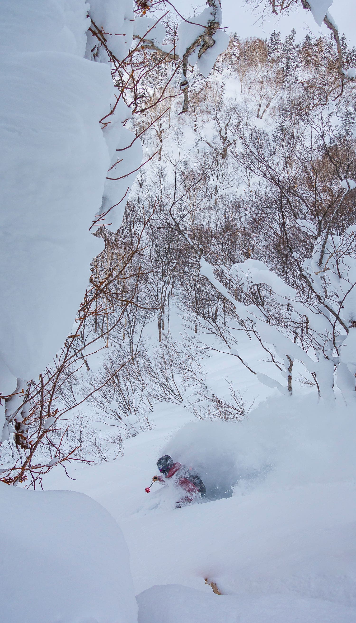 Rookie GIT (guide in training) Max Tabor finds an opening between the willows on Himax. Max does everything from sales and marketing to shuttle runs…