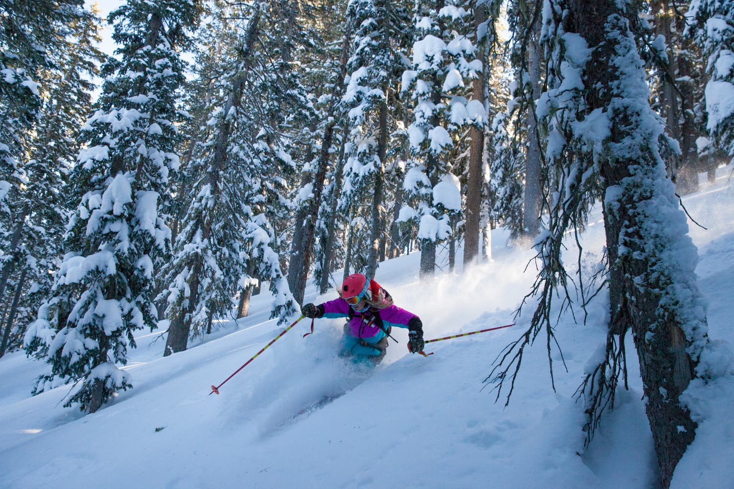 Finding the Sun Lynsey, making the shady trees look good. This was the last bit of light we saw that day. Photo Credit: Leslie Hittmeier