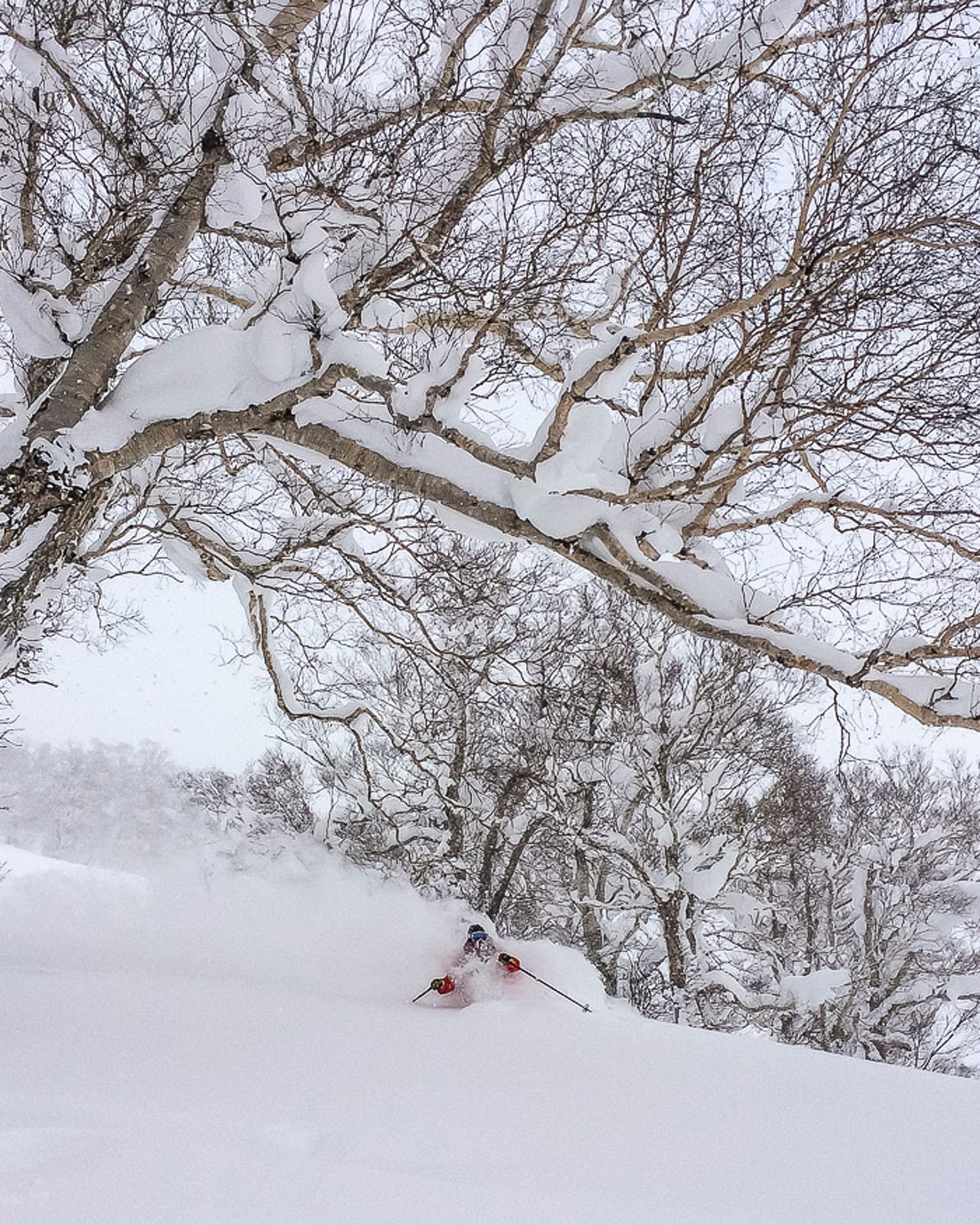 In The Scope Caught in front of the lens rather than behind it, SASS’s quadruple-threat (program director/guide/photographer/ping-pong player) Lucas Moore flows…