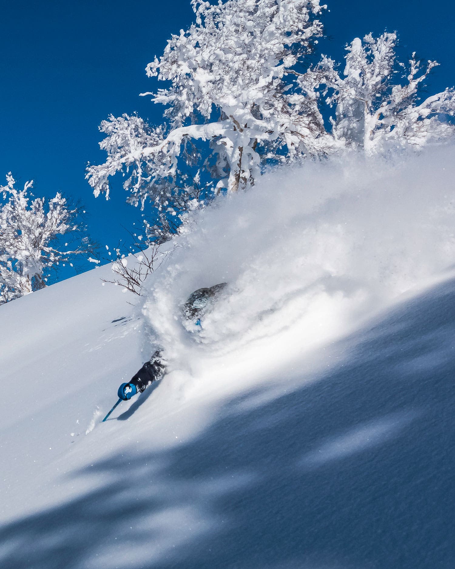 Japoof Pro skier and rookie SASS guide Benny Schmitt trenches on the edge of shadows in an elusive area nicknamed The Steepest Run in Japan. This is called…