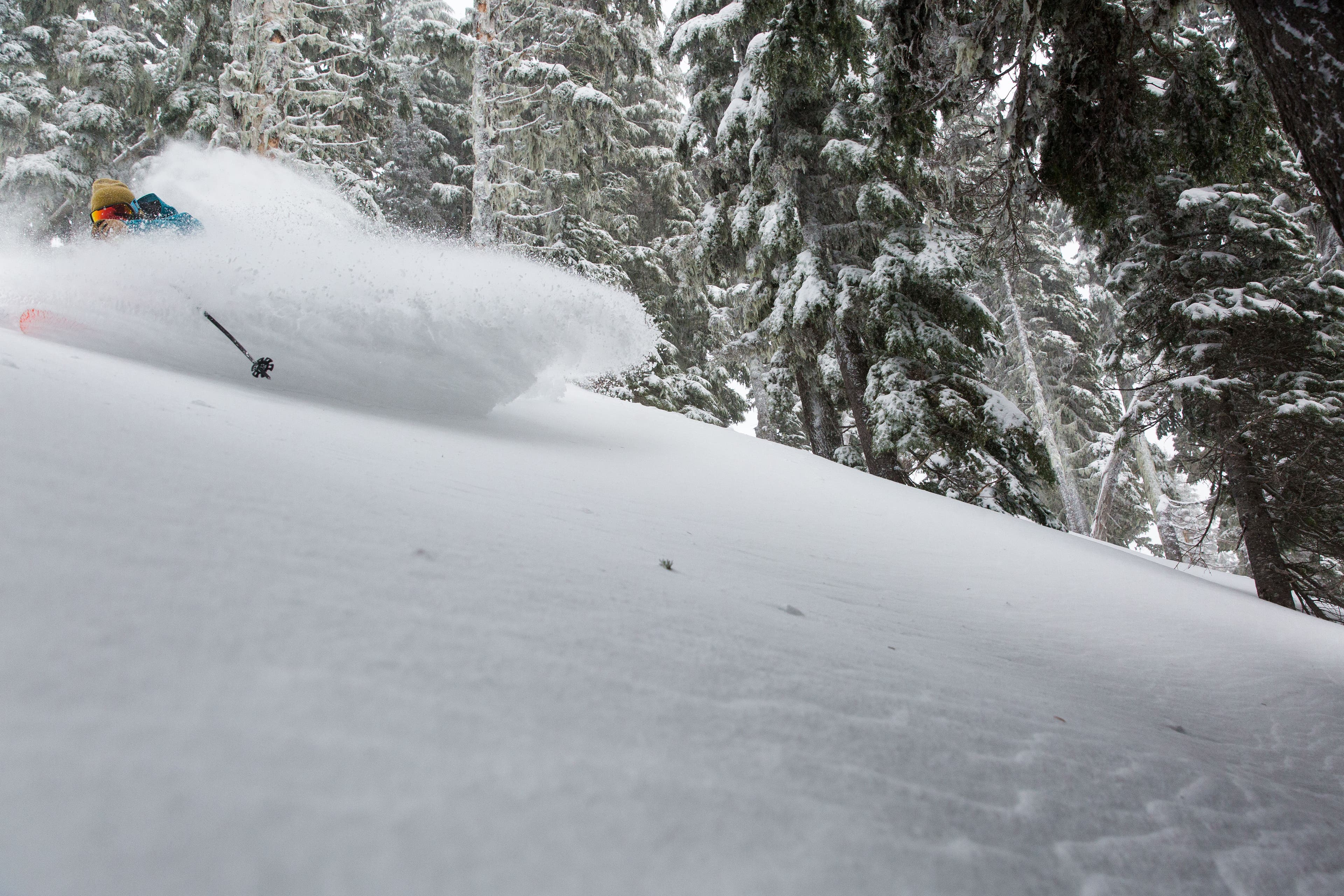 Ker-POW! Joe Johnson, who splits his time between Utah and Montana, gets a whole face full of Oregon love just off the groomers at Mount Hood’s…