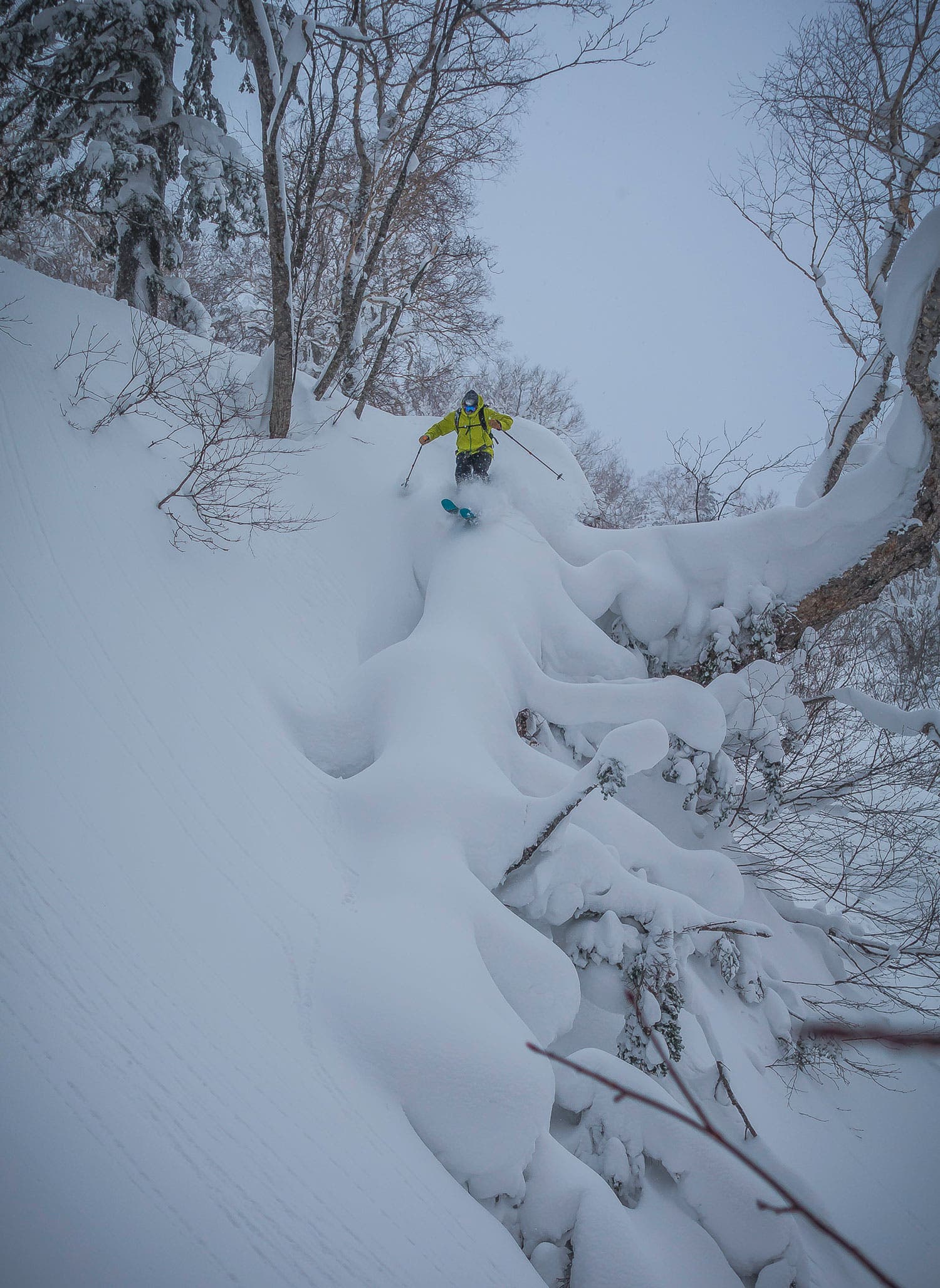 Pete Connolly tests his mettle on a snow-covered downed tree just above the Gnarnia creek. Mountain operations director seems like a pretty damn good…