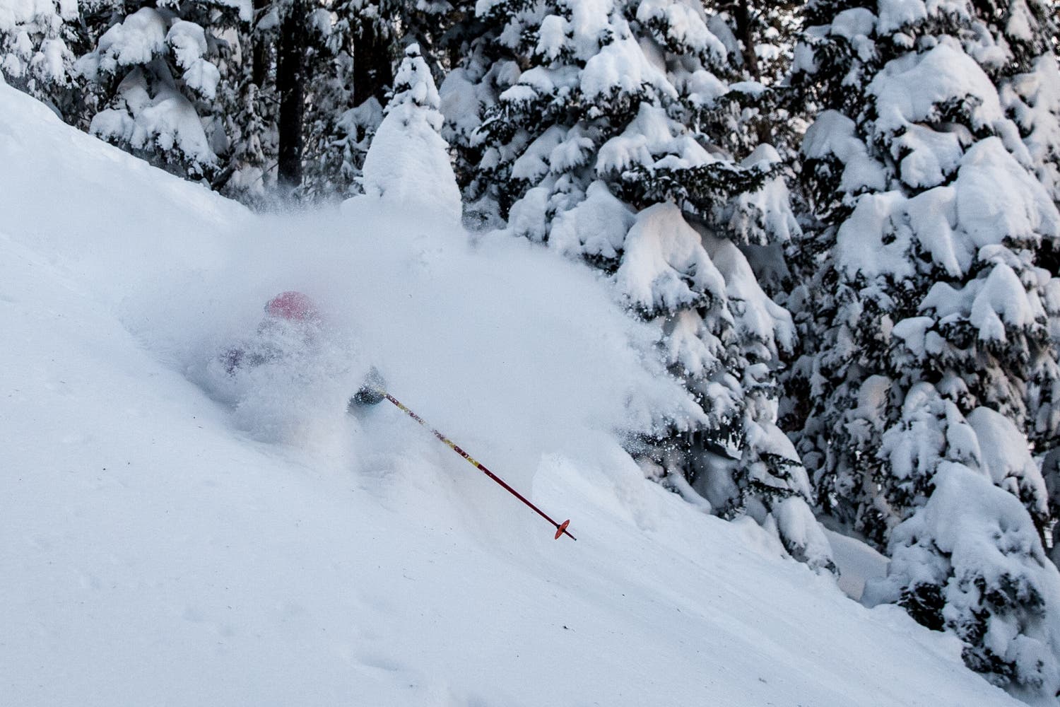Pow Pow Lynsey gets pitted in the New Mexico pow. Photo Credit: Leslie Hittmeier
