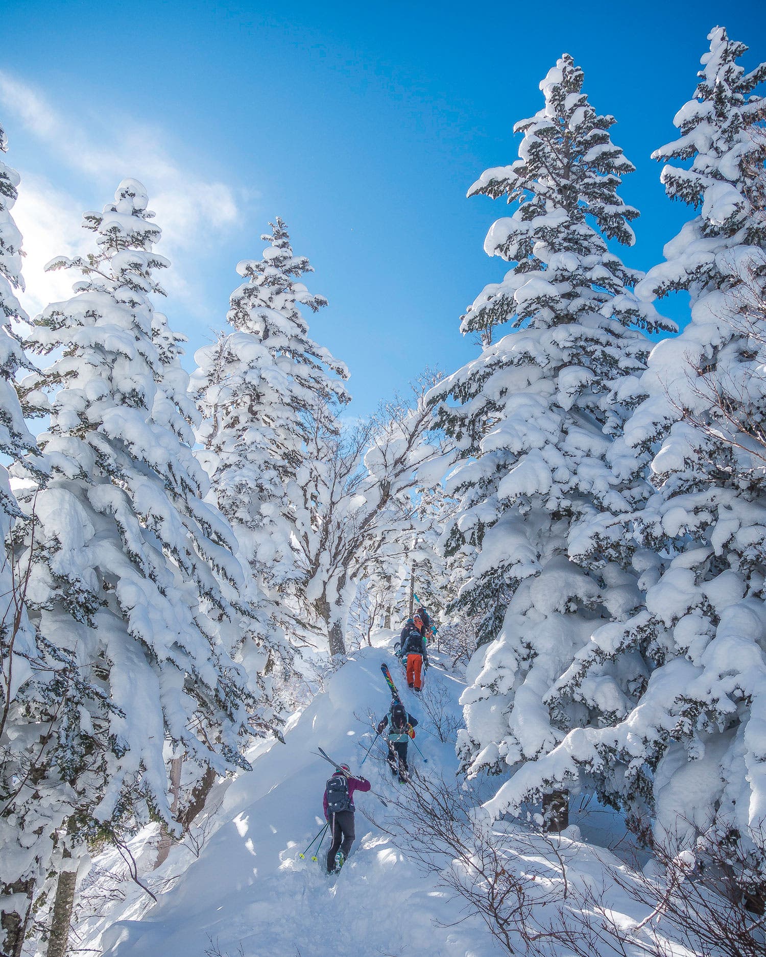 The Gem Benny Schmitt guides clients up the hidden ridge of The Steepest Line in Japan. Low visibility kept the approach concealed for the majority of the…
