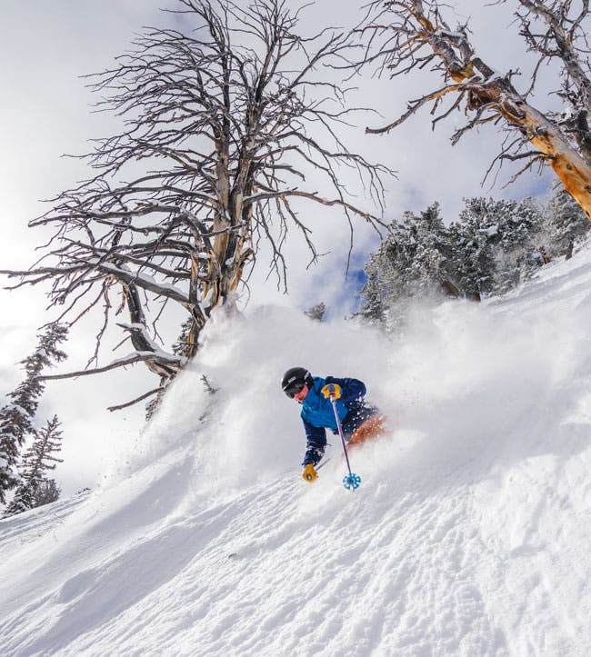 Image placeholder title None