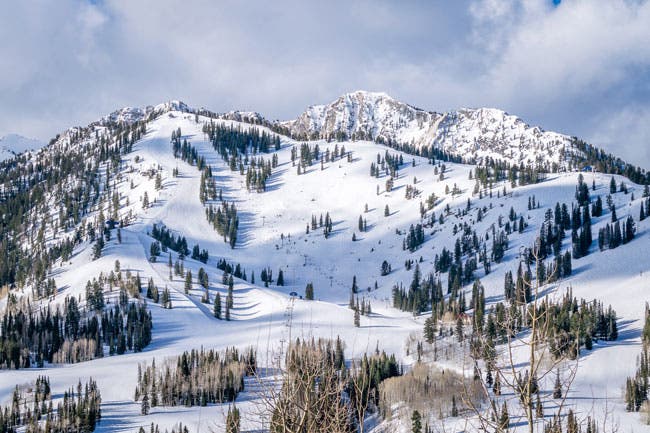 Image placeholder title None