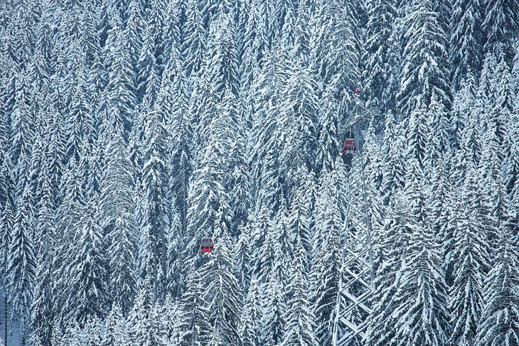 SKI_Hahnenkamm_CREDIT_BaileyLaRue_6.jpg None