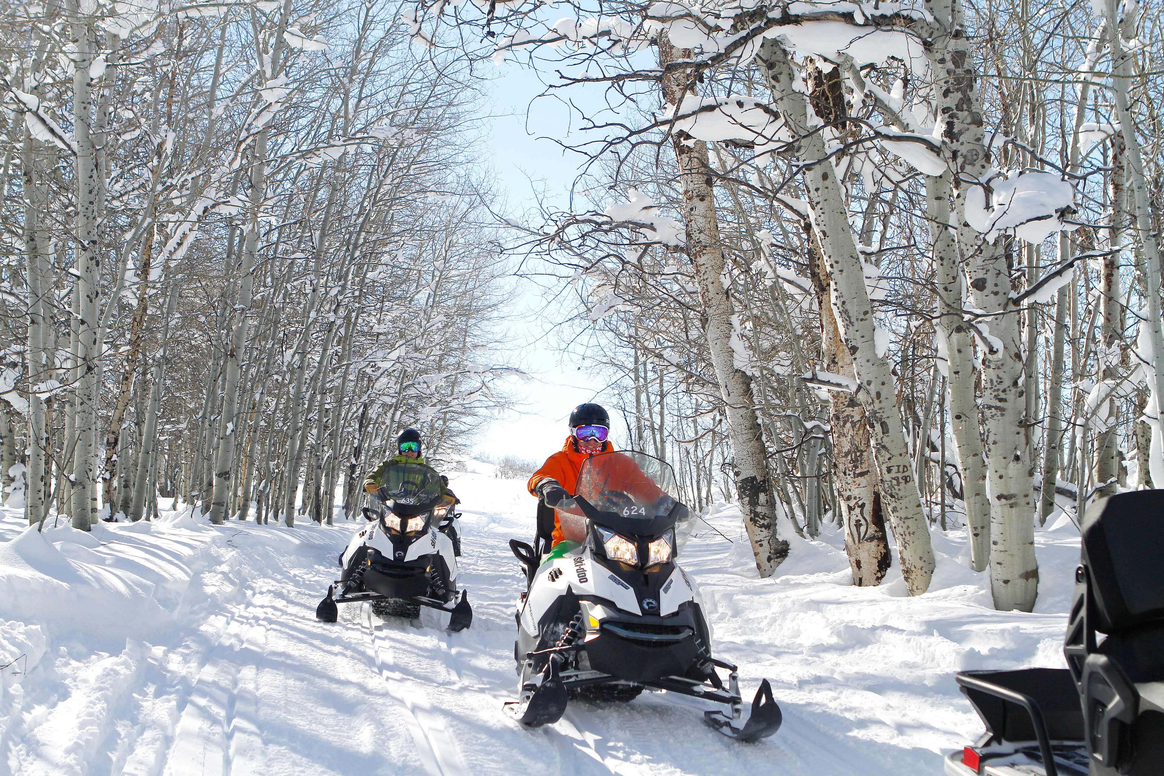 (DeerValley)176_Snowmobiling_Deer Valley Resort None