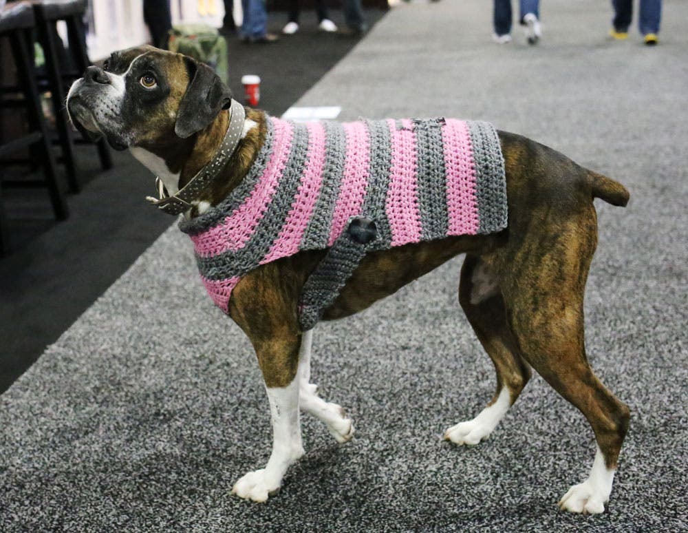 sia_2017_dogs_sweater None