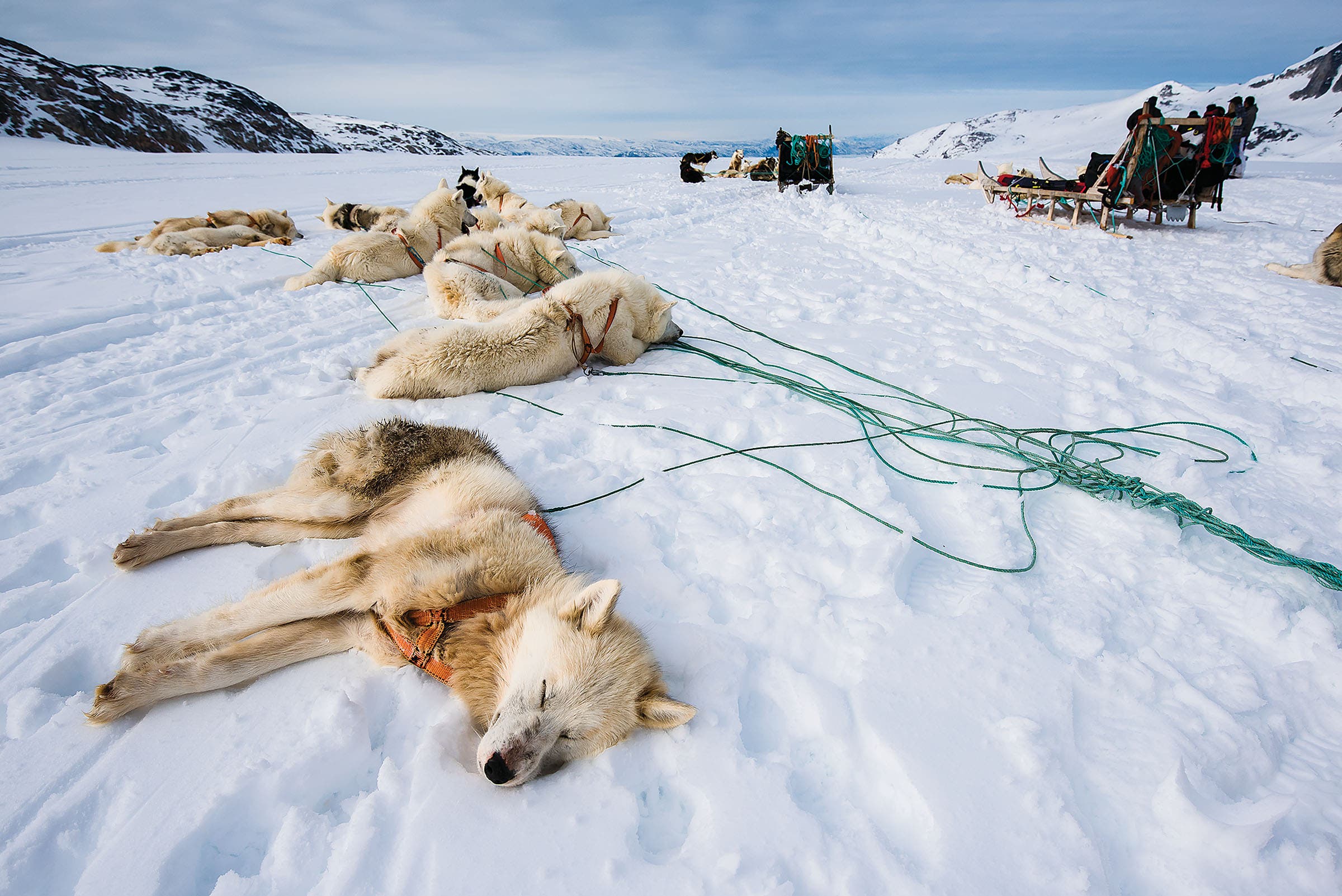 SKG1216_PHO6_Greenland The team had to hire dogsleds to reach the tiny town of Tiniteqilaaq, which meant each crew member had a team of eight dogs. “It was total chaos all…