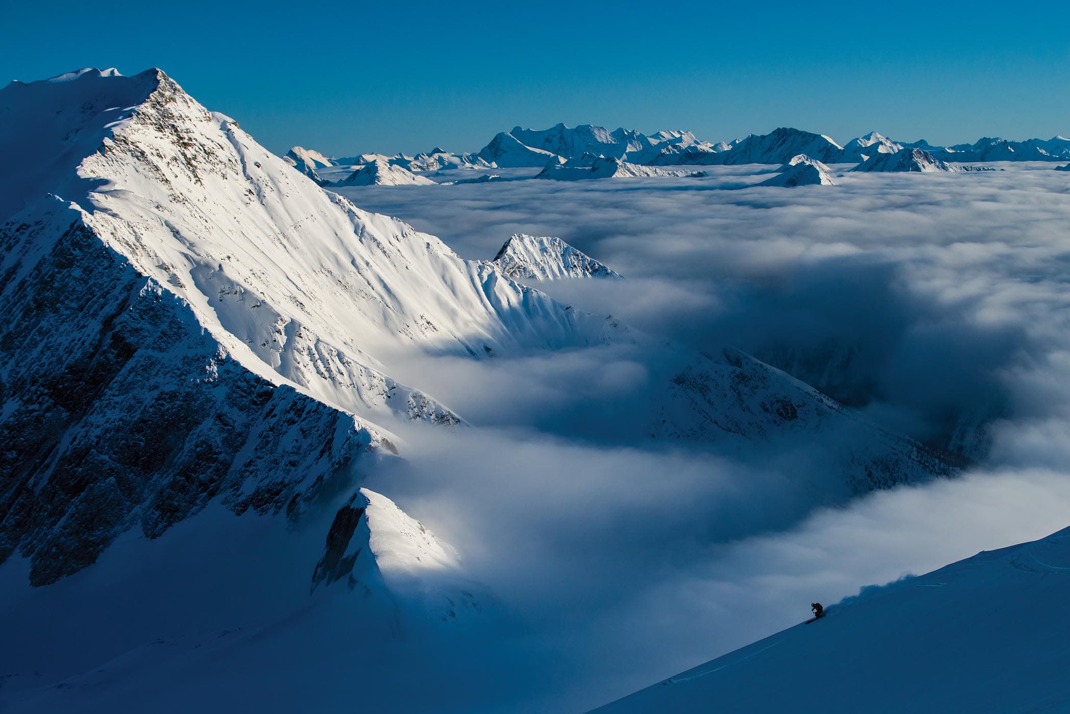 SKI1016_FOC_BLong None