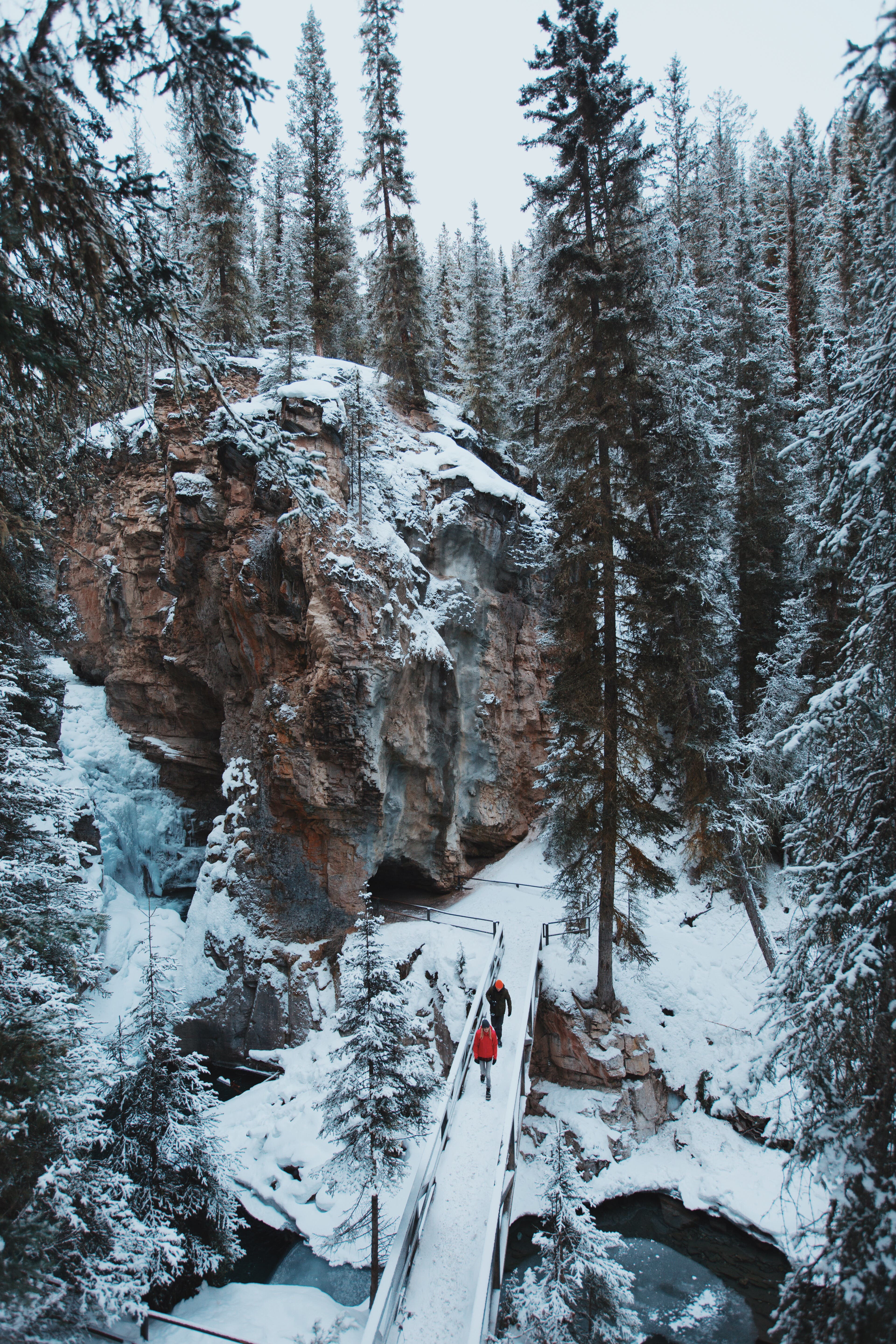 Winter_Hikes_Johnson_Canyon_2016_Jake_Dyson_3_Vertical None
