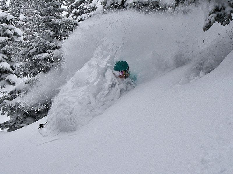 16266134_1276150335768142_1253951018088325004_n None