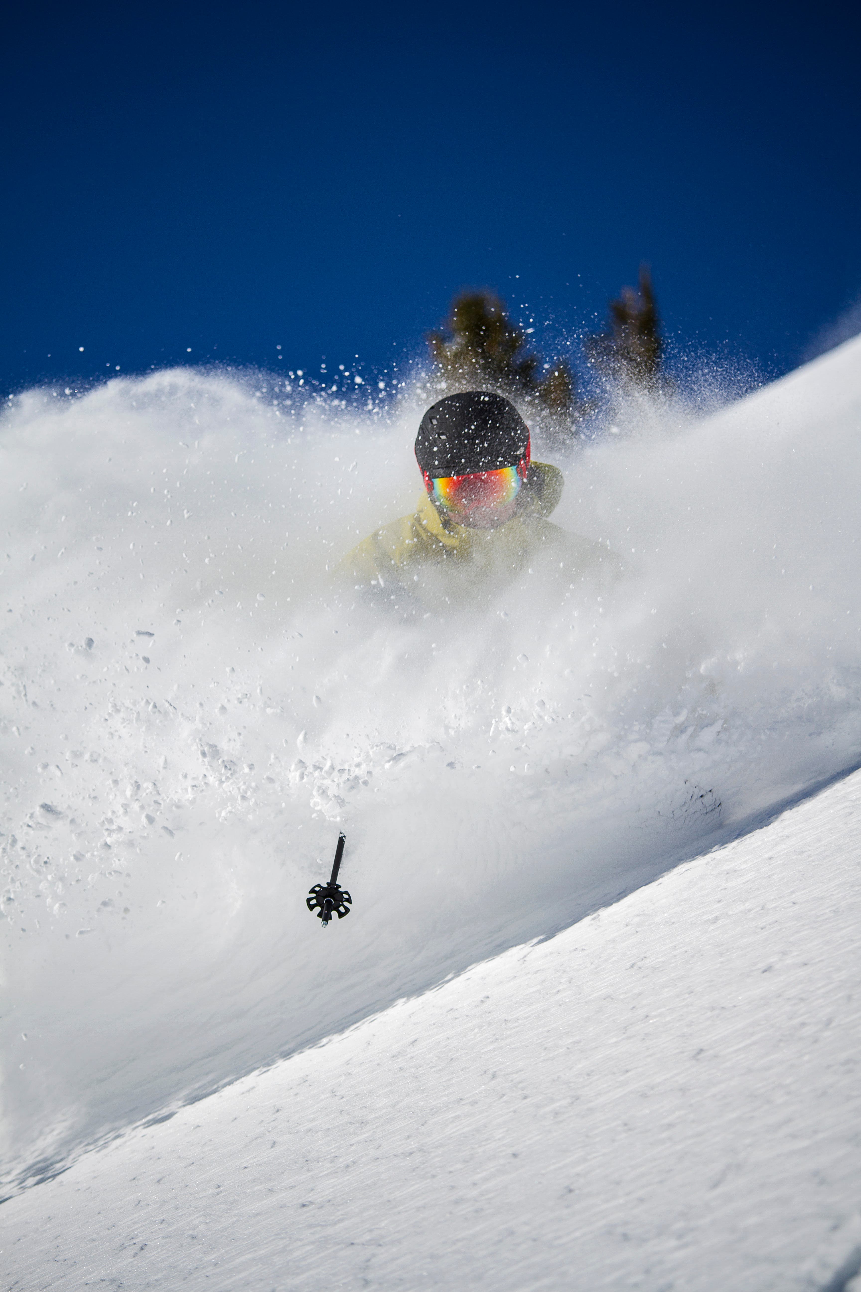 Alta. Baldy Shoulder.Chris Pearson.Ski Utah None