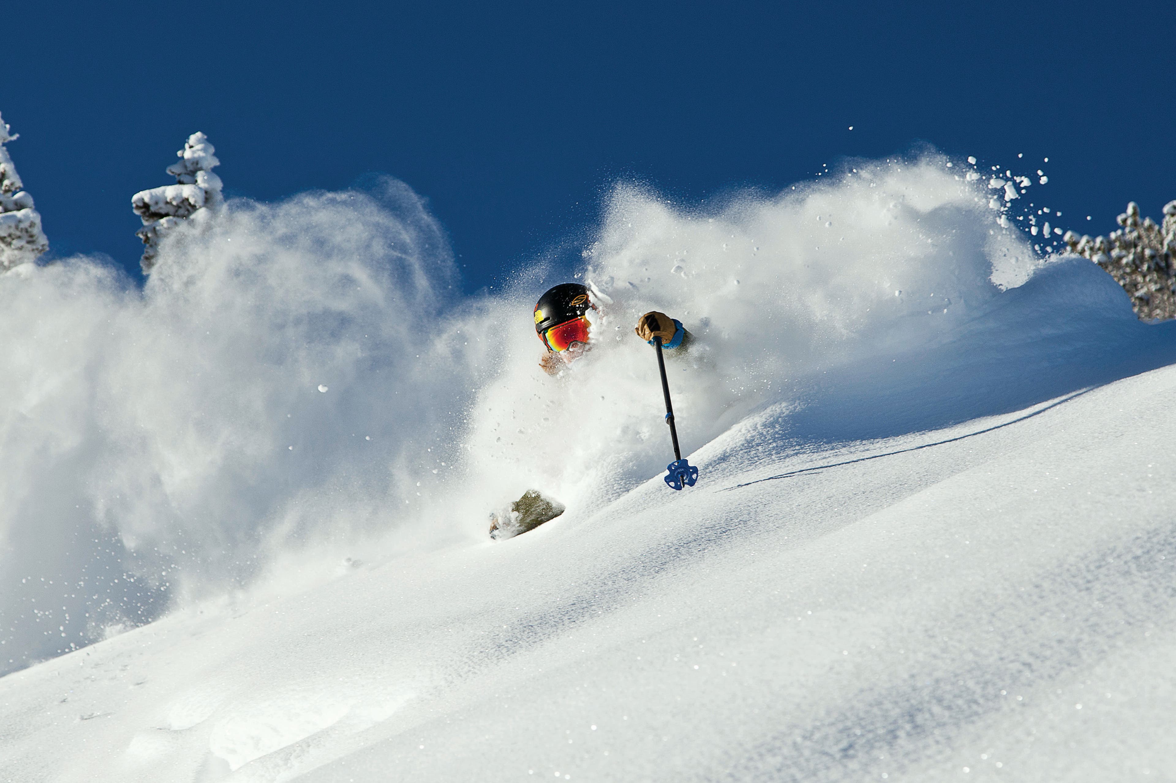 Alta. Johnny Collinson. Adam Clark. Ski Utah None