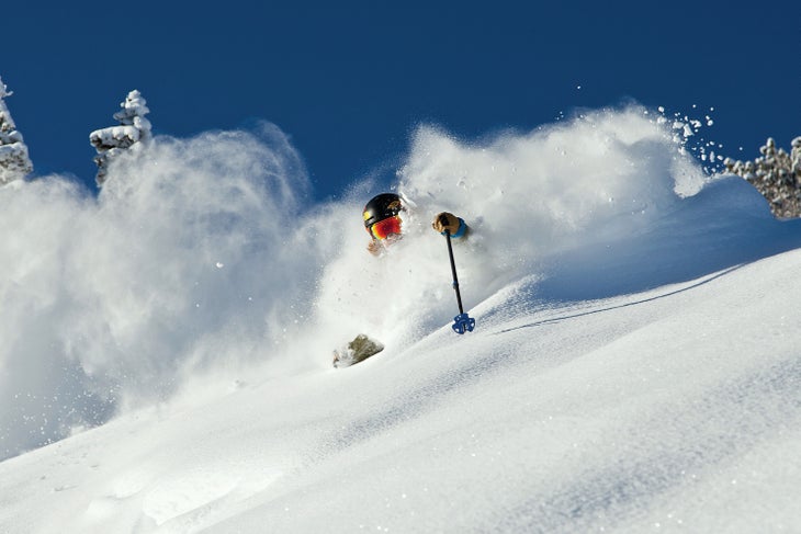 Alta. Johnny Collinson. Adam Clark. Ski Utah None