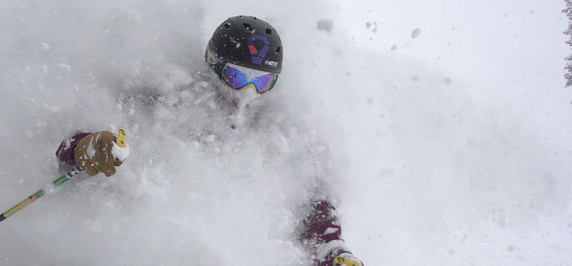 Monarch Jan17.jpeg None