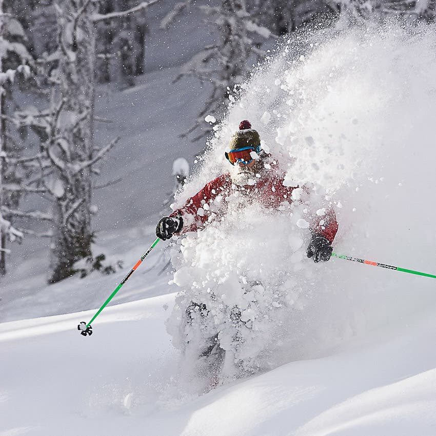 skimag-fernie-by-Henry-Georgi None