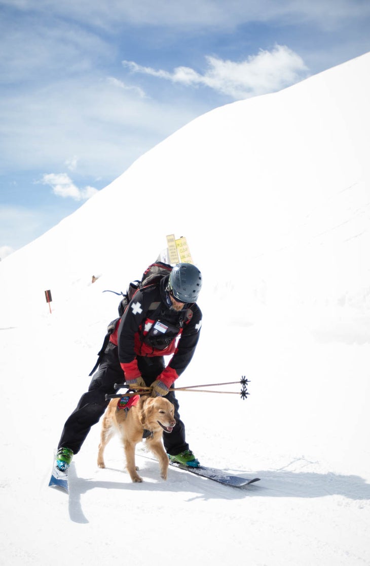 Skier searches for dog after Colorado avalanche