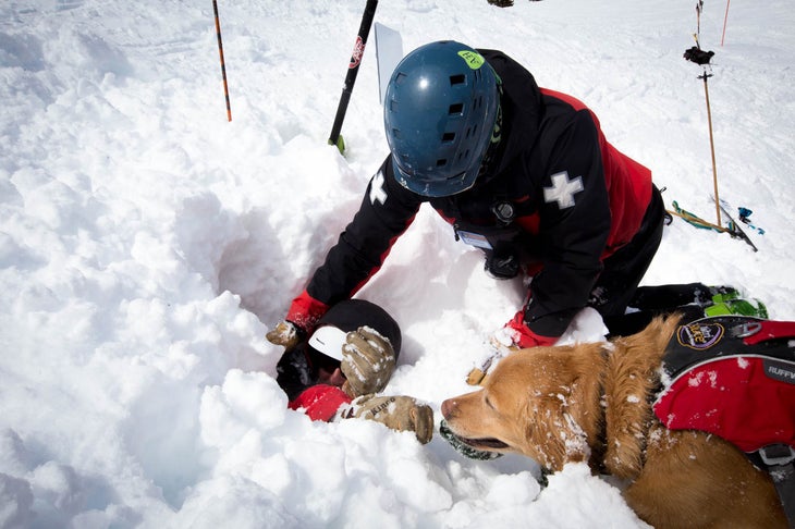 A day in the life of a Colorado avalanche dog