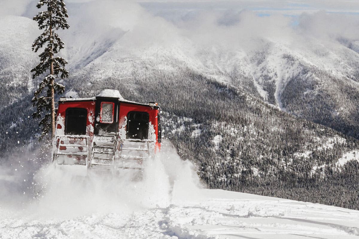 SKI1117_UTL_GNPG4_Courtesy great northern powder guides cat and view