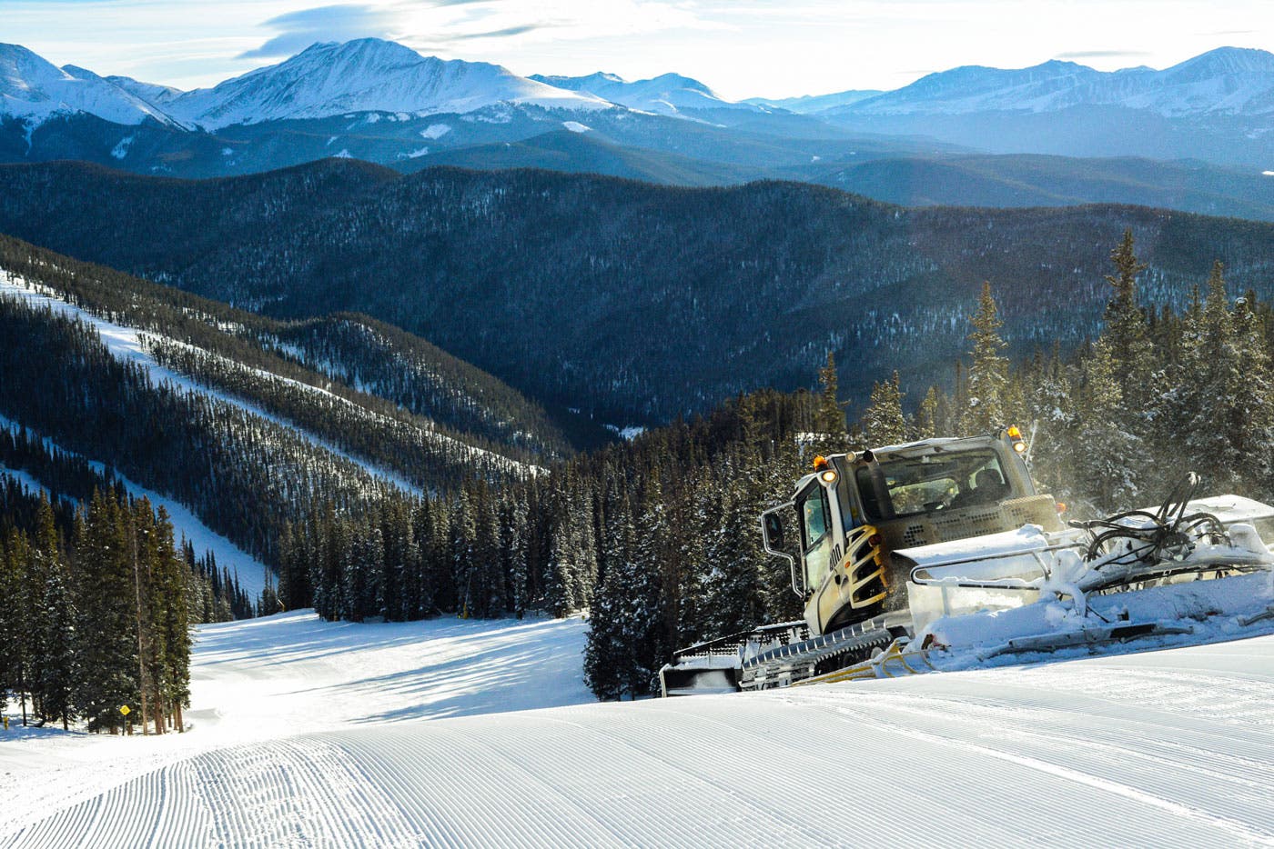 Keystone-Grooming-web None