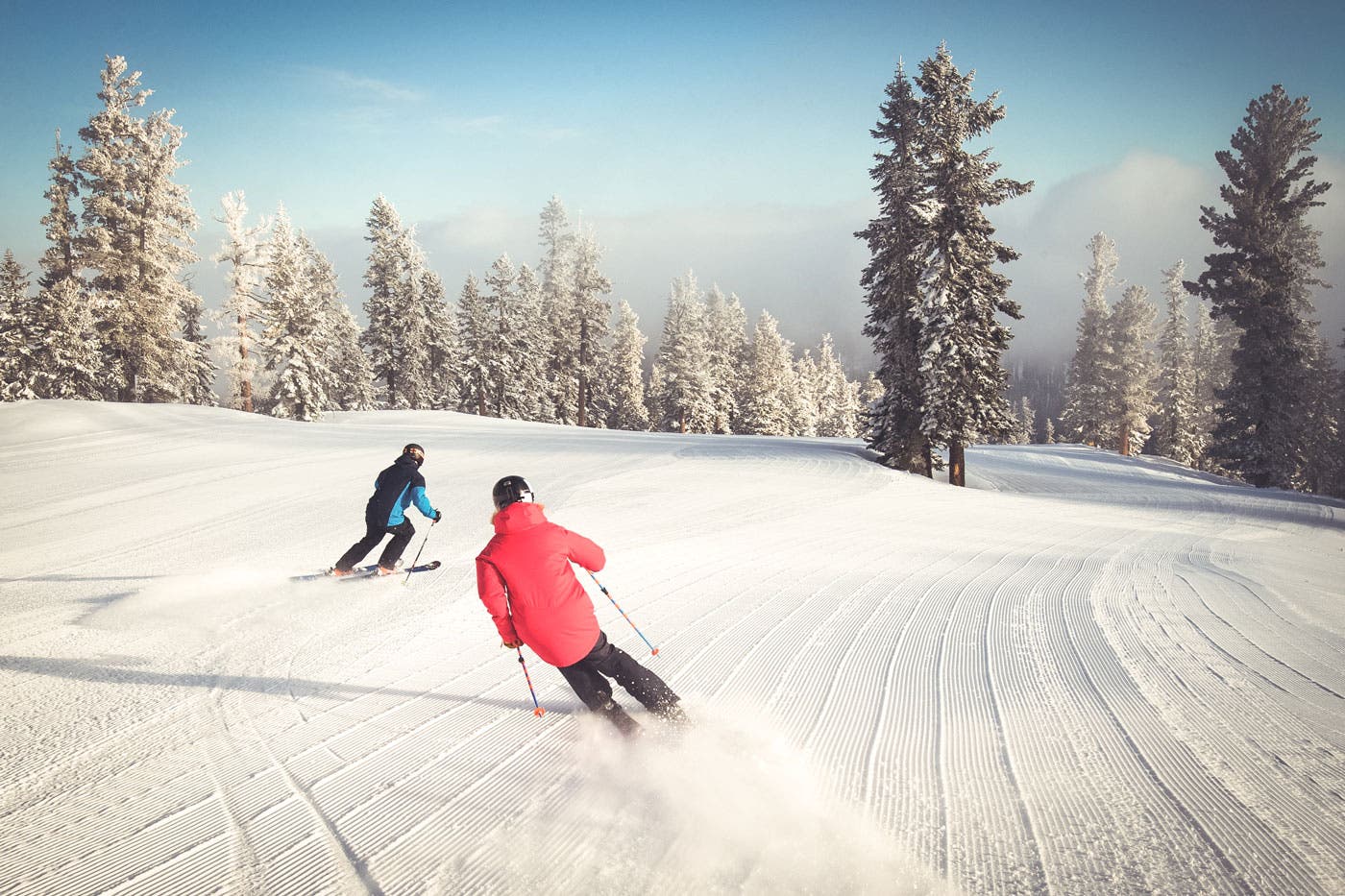 NorthstarGrooming2-web None