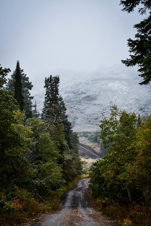 the road to opening day at snowbasin
